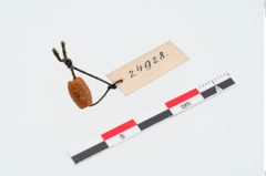 Foto von Bernsteinperle (NHMW-PRAE-024928)